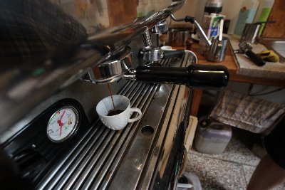 Frieda Café