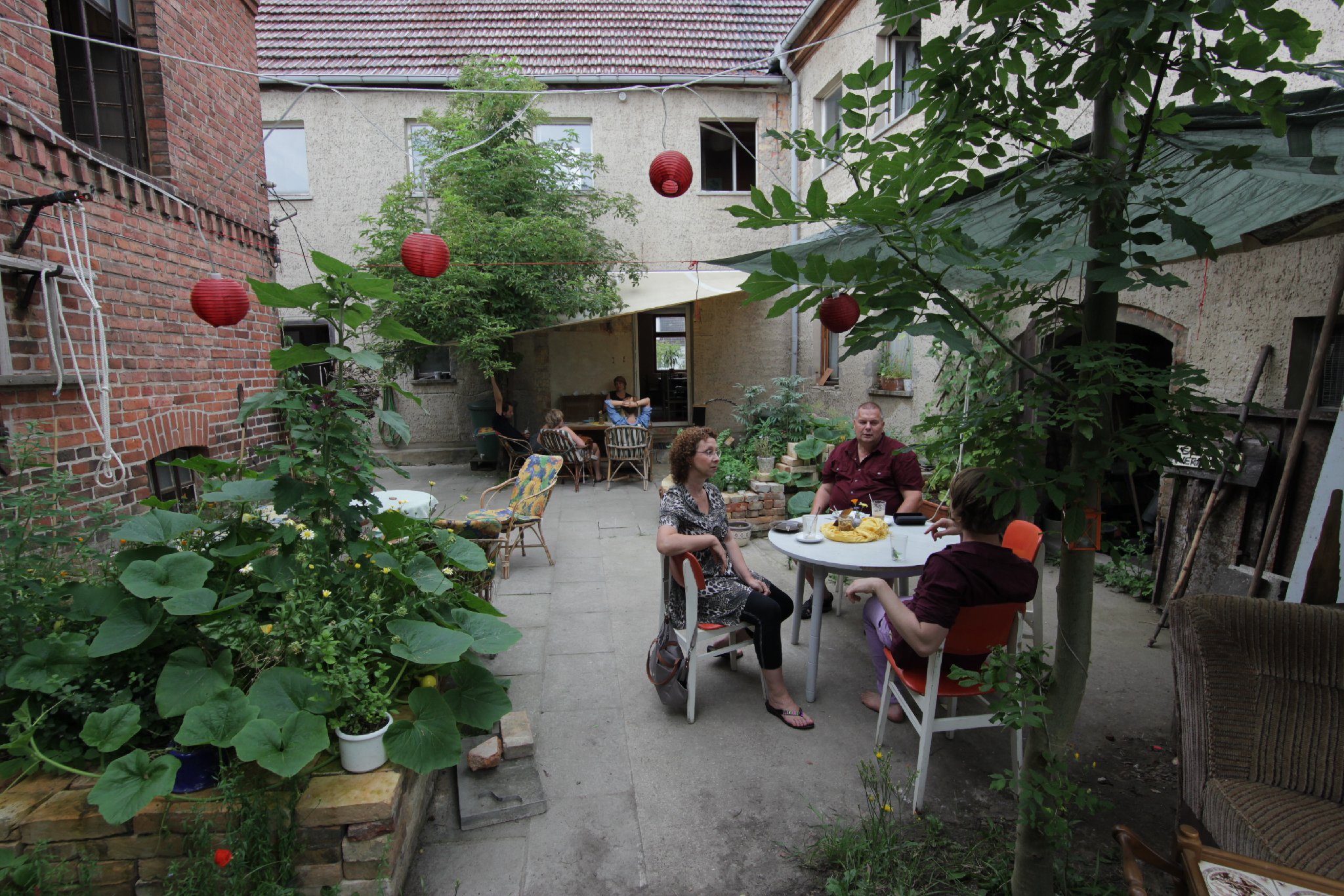 Frieda Café